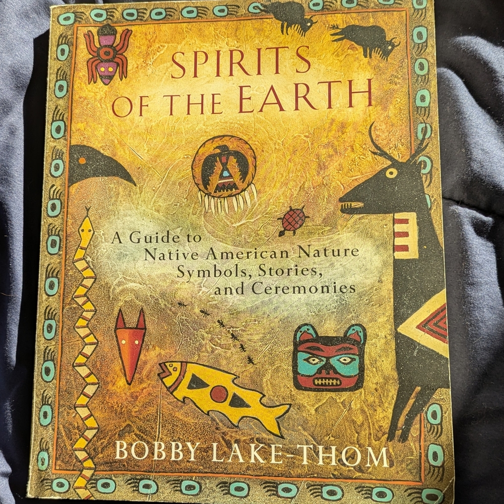 Vintage Book with Unique Cover Art